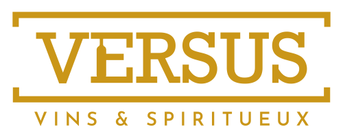 Logo Versus